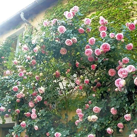 Bed & Breakfast Porte De Paris Montesson