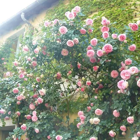 B&B Porte De Paris 몽테송