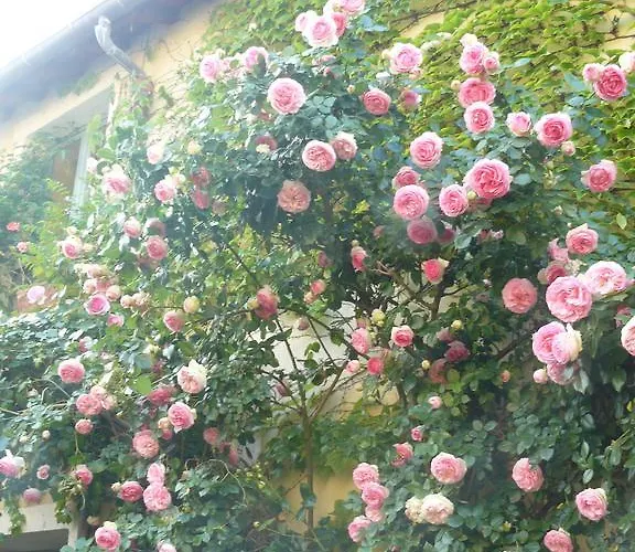 Bed & Breakfast Porte De Paris Montesson